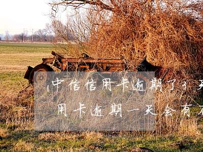 中信信用卡逾期了3天严重吗 中信银行的信用卡逾期一天会有不良记录吗