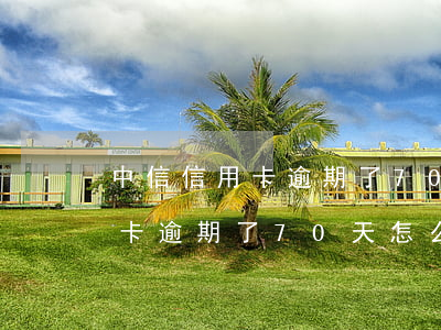 中信信用卡逾期了70天怎么辦-中信信用卡逾期了70天怎么辦理