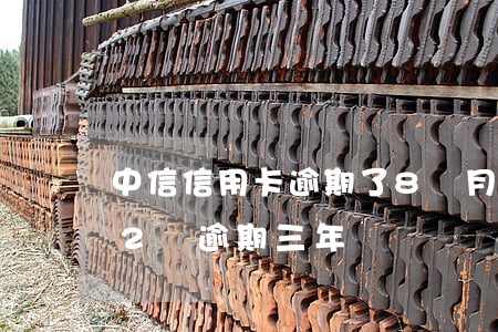 中信信用卡逾期了8個月了(中信銀行信用卡2萬逾期三年)