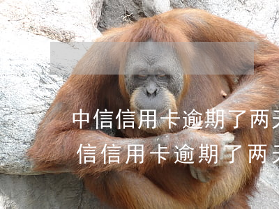 中信信用卡逾期了两天会不会影响征信-中信信用卡逾期了两天会不会影响征信记录