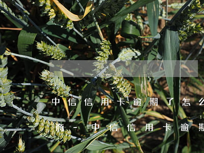 中信信用卡逾期了怎么辦怎么協(xié)商-中信信用卡 逾期