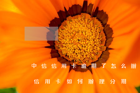 中信信用卡逾期了怎么辦理分期(已經逾期的信用卡如何辦理分期)