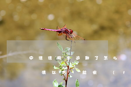 中信信用卡逾期了怎么還款啊(中信銀行逾期還清以后還能恢復(fù)額度嗎)