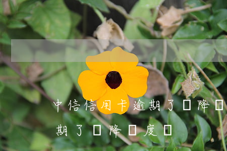 中信信用卡逾期了會降額度嗎(中信信用卡逾期了會降額度嗎)