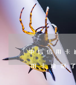 中信信用卡逾期了無力償還怎么辦-中信信用卡逾期了無力償還怎么辦理