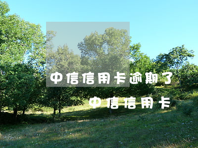 中信信用卡逾期了讓簽還款意向書 簽還款承諾書中信信用卡