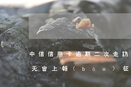 中信信用卡逾期二次走訪(中信信用卡逾期幾天,會上報(bào)征信報(bào)告)