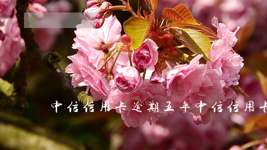 中信信用卡逾期五年(中信信用卡逾期五年)