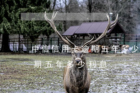 中信信用卡逾期五年多少利息(中信信用卡逾期五年多少利息)