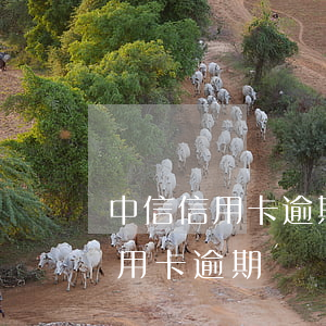 中信信用卡逾期以后要證明怎么辦-中信信用卡 逾期