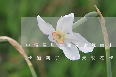 中信信用卡逾期会冻结中信银行卡(中信银行卡逾期了10天现在卡受限制)