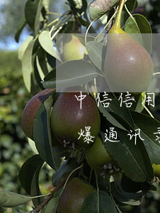 中信信用卡逾期会爆通讯录吗(逾期为什么会爆通讯录)