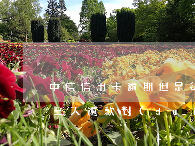 中信信用卡逾期但是每月都還(中信銀行逾期三天還款對(duì)信用有影響嗎)