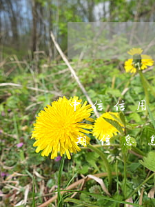 中信信用卡逾期信息怎么顯示(中信信用卡逾期信息怎么顯示)