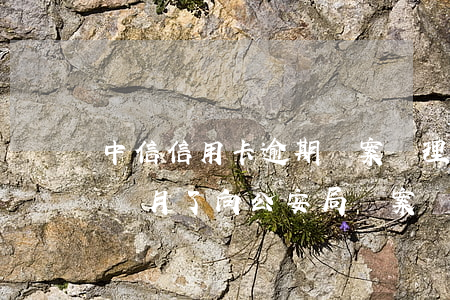 中信信用卡逾期備案處理(中信信用卡逾期三個月了向公安局報案)