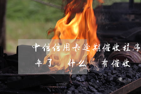 中信信用卡逾期催收程序(中信信用卡逾期半年了為什么沒有催收電話)