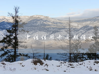 中信信用卡逾期催收話術(中信銀行催款通知)