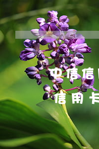 中信信用卡逾期催收電話接了不說話-中信信用卡逾期催收電話接了不說話怎么辦