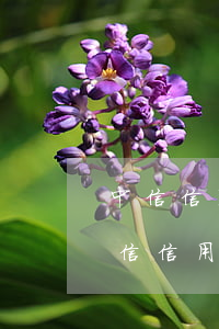 中信信用卡逾期儲(chǔ)蓄卡被扣錢(中信信用卡 逾期利息)