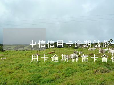 中信信用卡逾期儲蓄卡會被凍結嗎-中信信用卡逾期儲蓄卡會被凍結嗎怎么解凍