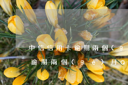中信信用卡逾期兩個(gè)月(中信信用卡逾期兩個(gè)月QQ里發(fā)來(lái)說(shuō)要起訴我)
