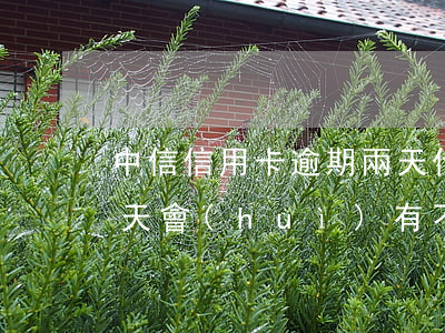 中信信用卡逾期兩天什么后果(信用卡逾期兩天會(huì)有不良記錄嗎)
