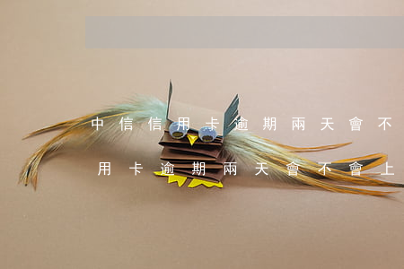 中信信用卡逾期兩天會不會上征信-中信信用卡逾期兩天會不會上征信記錄
