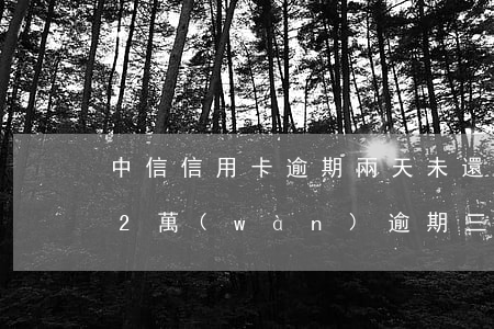 中信信用卡逾期兩天未還款(中信銀行信用卡2萬(wàn)逾期三年)