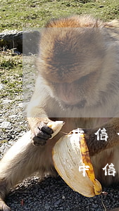 中信信用卡逾期兩天還款后顯示卡片異常-中信信用卡逾期兩天還款后顯示卡片異常怎么回事