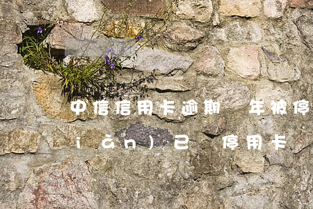 中信信用卡逾期兩年被停用(中信銀行現(xiàn)已暫停用卡)