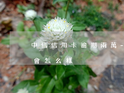 中信信用卡逾期兩萬-中信信用卡逾期兩萬會怎么樣