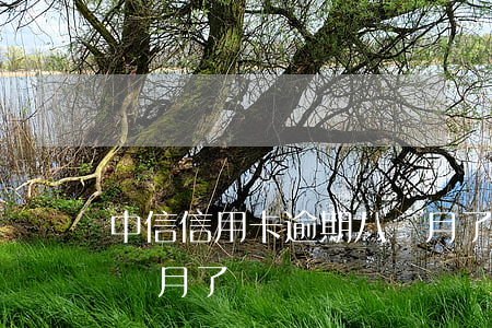 中信信用卡逾期八個月了(中信信用卡逾期八個月了)