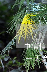 中信信用卡逾期八天 中信银行的信用卡逾期一天会有不良记录吗