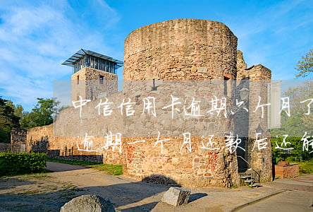 中信信用卡逾期六个月了还能用吗(中信银行逾期一个月还款后还能正常使用吗)