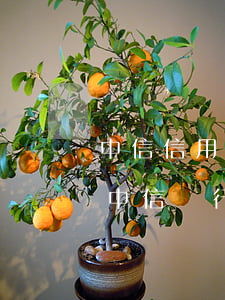 中信信用卡逾期六萬多會(huì)坐牢嗎 中信銀行逾期三個(gè)月真的會(huì)起訴坐牢嗎