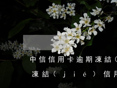 中信信用卡逾期凍結(jié)了(中信銀行凍結(jié)信用卡)