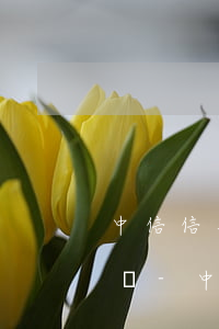 中信信用卡逾期凍結(jié)還完怎么解凍-中信信用卡逾期凍結(jié)還完怎么解凍不了
