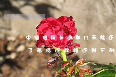 中信信用卡逾期几天能还最低(中信银行卡还了最低还款额还剩下的还款几天逾期上征信)