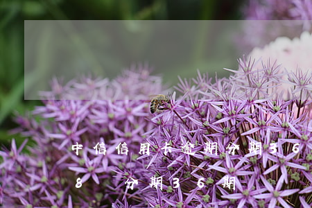 中信信用卡逾期分期36期好嗎(中信信用卡8萬分期36期)