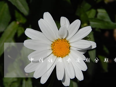 中信信用卡逾期分期有首付款么