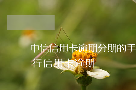 中信信用卡逾期分期的手續(xù)(中信銀行 信用卡 逾期)