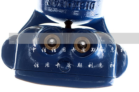 中信信用卡逾期利息和滯納金是多少-中信信用卡逾期利息和滯納金是多少錢