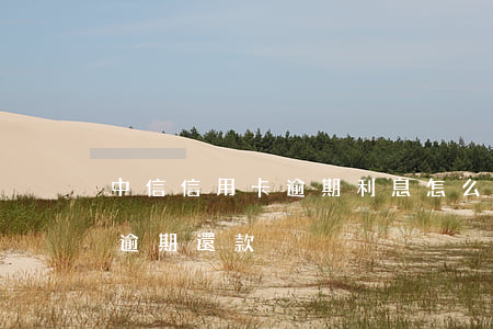 中信信用卡逾期利息怎么算的(信用卡多久算逾期還款)