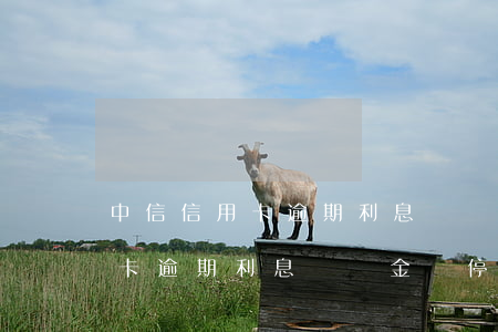中信信用卡逾期利息滯納金會停-中信信用卡逾期利息滯納金會停止嗎