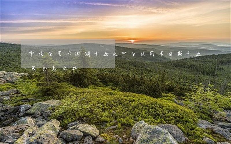 中信信用卡逾期十五天(中信信用卡逾期十五天会怎么样)