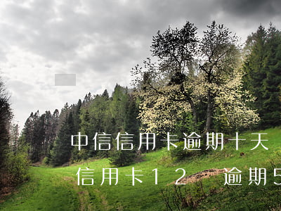 中信信用卡逾期十天嚴(yán)重嗎(中信信用卡12萬逾期5個月)