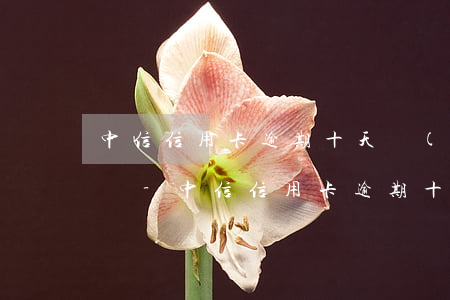 中信信用卡逾期十天會(huì)降低額度嗎-中信信用卡逾期十天會(huì)降低額度嗎知乎