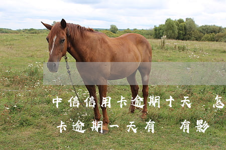 中信信用卡逾期十天會怎么樣(中信銀行信用卡逾期一天有沒有影響?)