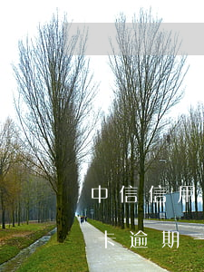 中信信用卡逾期十天有影響嗎 中信銀行信用卡逾期一天有沒有影響?