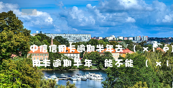 中信信用卡逾期半年去協(xié)商(欠信用卡逾期半年還能不能協(xié)商)